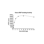 Kras Q61K–cRAF Binding Assay Kit